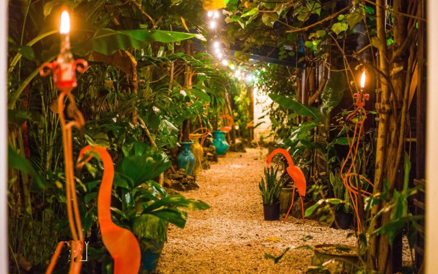 Wild Coffee Retreat - Adults Only