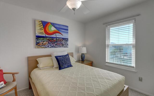 Pelican Sunrise     Lc13