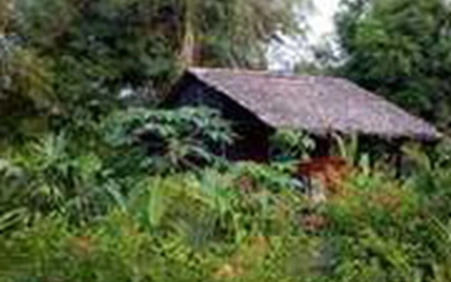 Rio Mar Bahía Solano Choco Colombia