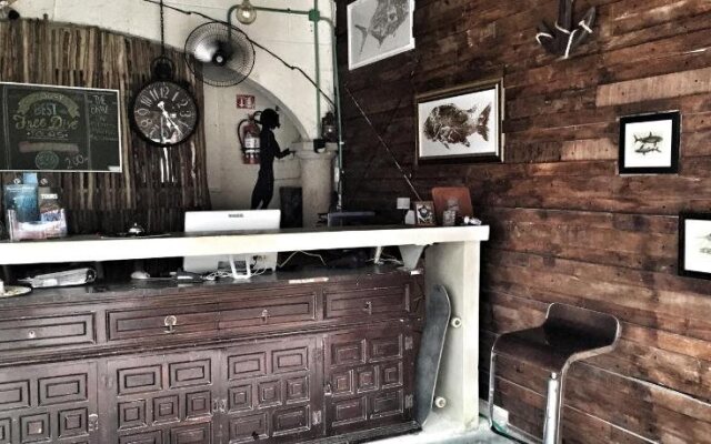 Lobo de Mar Hostel Playa del Carmen