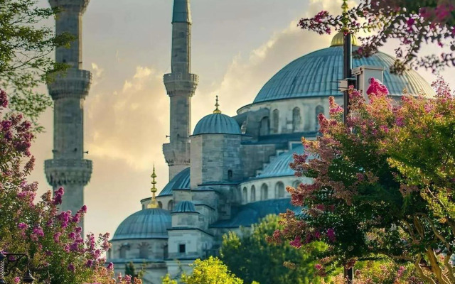 Myra Sea Sultanahmet