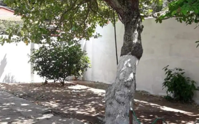 Suíte em Japaratinga com Vista do Mar