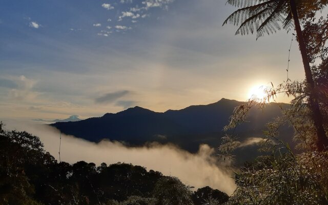 Bellavista Cloud Forest Reserve & Lodge