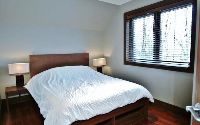 Chalets Alpins - 38 Chemin Blanc