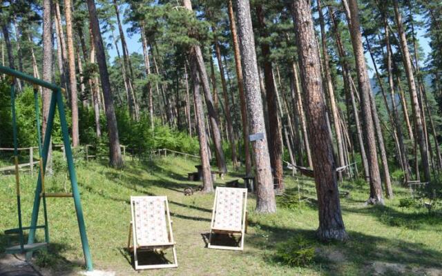 Guest House on Meskheti