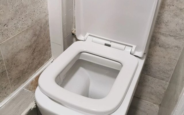 The Ottoman