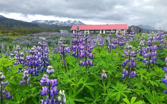 Hotel Snaefellsnes - formally Hotel Rjukandi