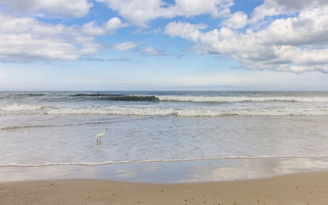 Sunshine Beach