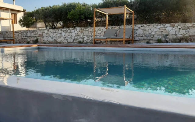 Asante Paros