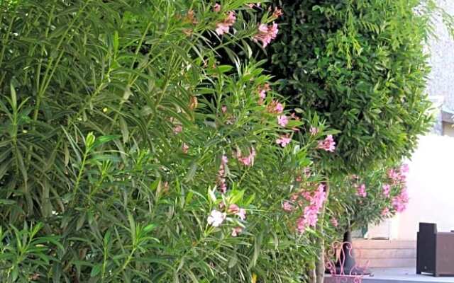 Hotel Restaurant Martinez