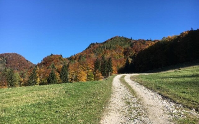 Baby-und Kinderbauernhof Salmanner