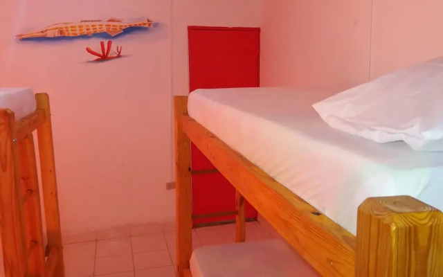 Taganga Paradise Hostal & Diving - Hostel