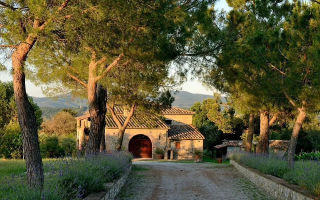 Villa Alessandro