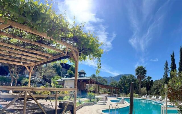 Olympos Angels Garden