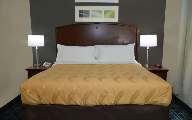 Quality Inn And Suites Dublin