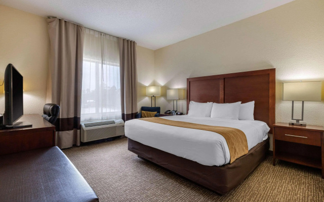 Comfort Inn & Suites Camden