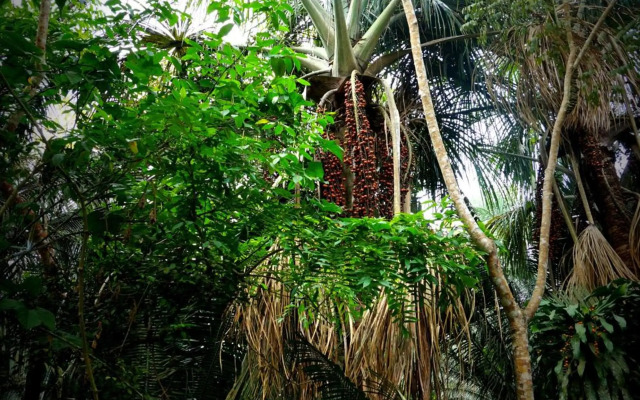 Villa Hermosa de Tambopata Casa Hospedaje & Hostel