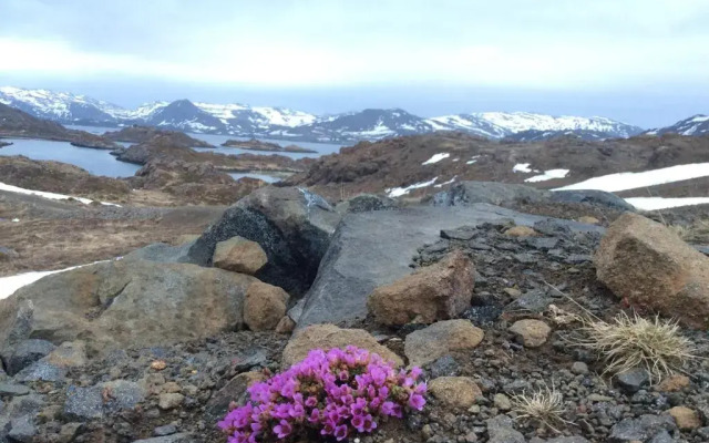 Repvåg Camping-Nordkapp AS