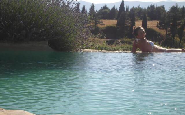 Verdidea - BELLAVISTA