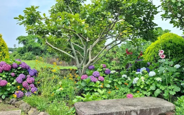 Jeju Casa Linda Pension