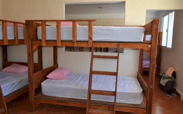 Hostel Mayan Amazons