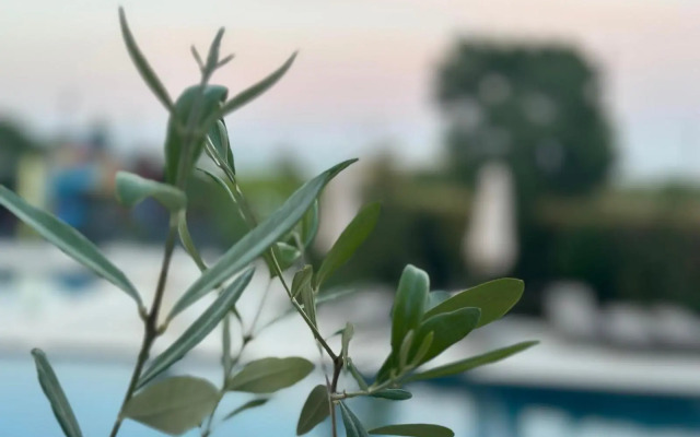 Aquamarine Hotel