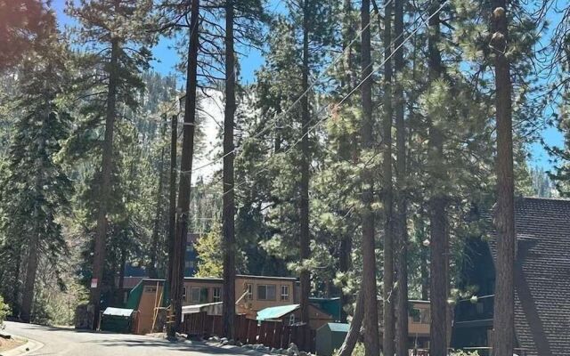 1503 Bonita Road By Redawning