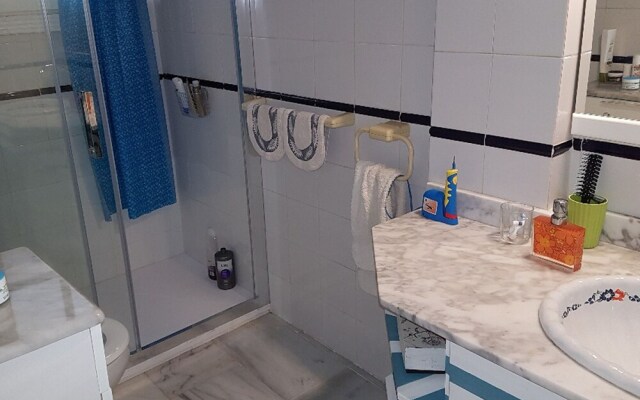 Owner Solidarity - 16