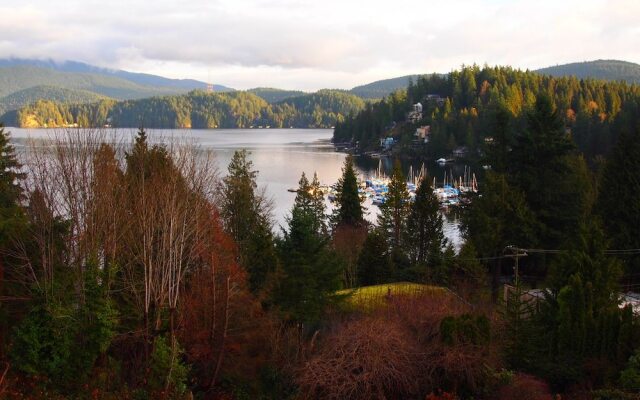 Eagles Nest Vacation Home Rental