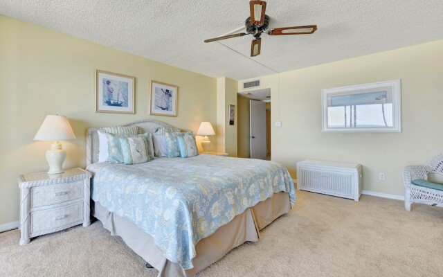 Sand Dollar I 504
