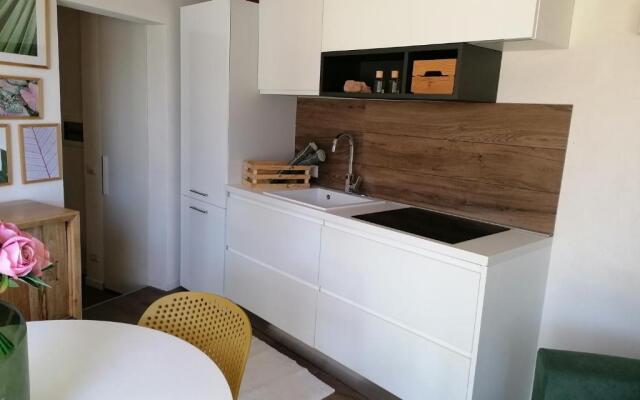 Bouganvillea house