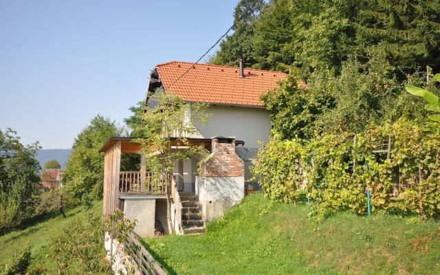 Vineyard Cottage Krstinc