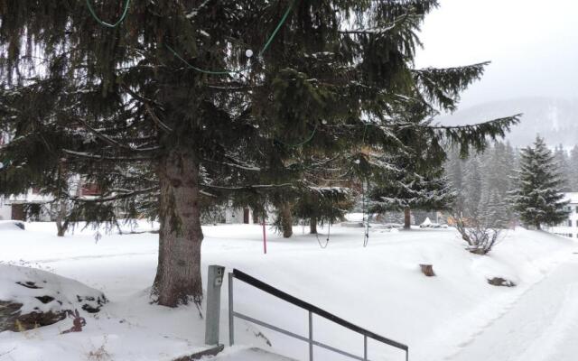 Sursilvana 18 (317 Ma)