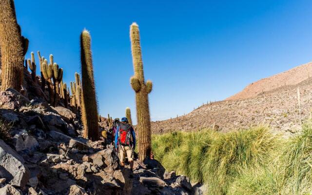 Noi Casa Atacama