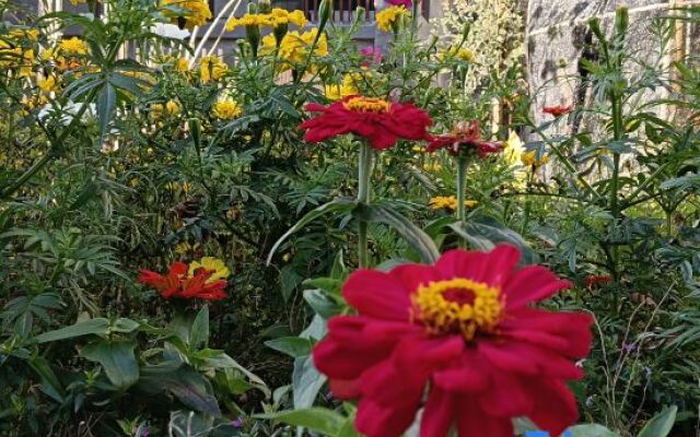 Tengchong Yuegu Hot Spring Homestay