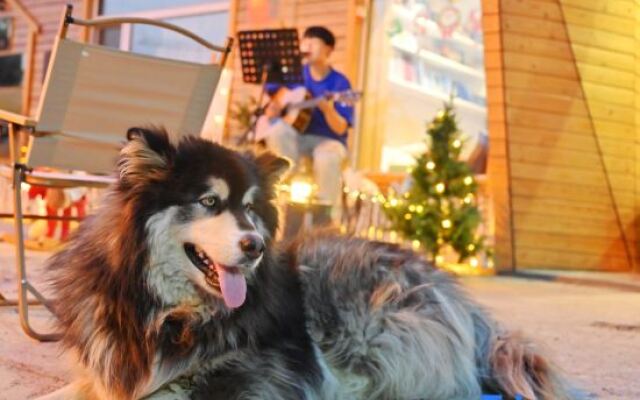 In the Slow Old Days: Grain Buds