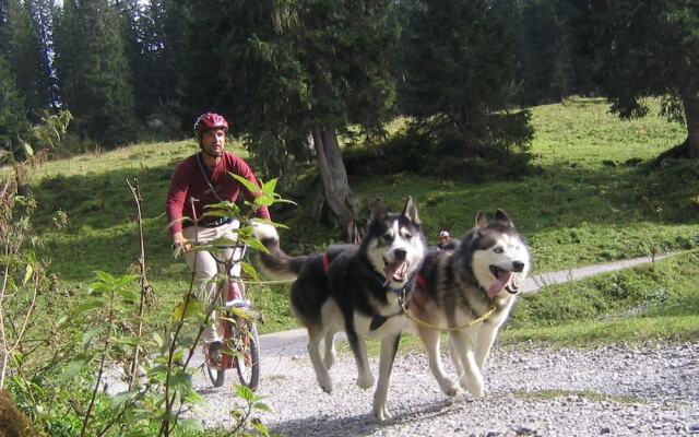 Easy-Living Luzern - Budget Rooms