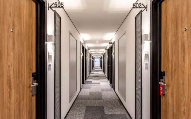 Ibis Aruja