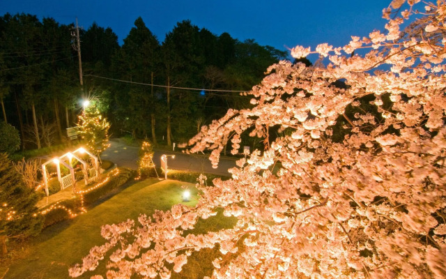 IzuKogen Petit Resort Hotel Alcyon