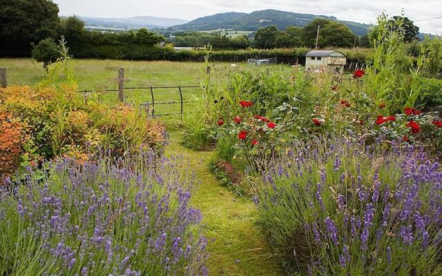The Smithy B&B (3 miles from Hay-on-Wye)