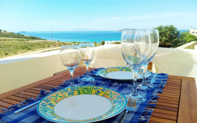 Andros Luxury House