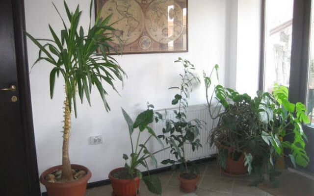 Guesthouse La Despani