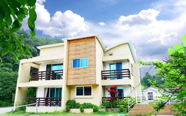 The Tree in the Lake