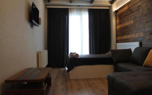 Cozy Apartment Near Gondola loft1