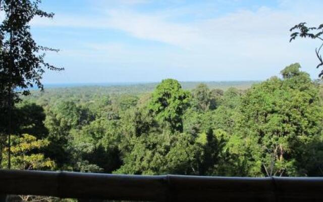 Nature Observatorio Amazing Treehouse