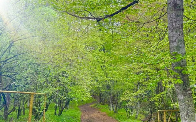 Sunny Home Дом на ул. Мира 32 (Санни Хоум)