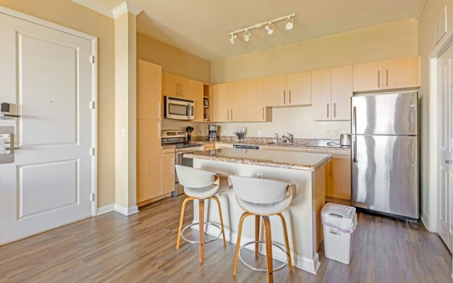Executive Suite With Pool & Gym