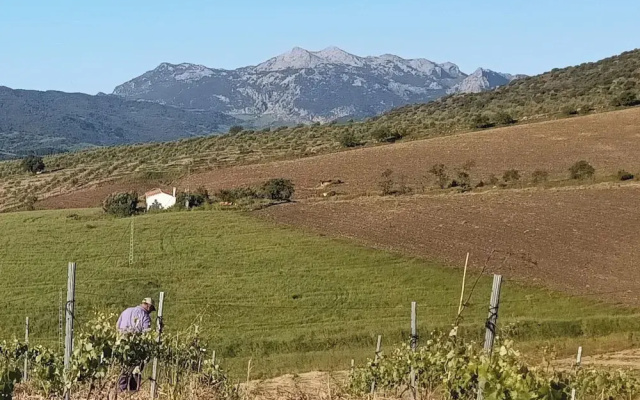 Nature Lovers Escape on an Eco-friendly Vineyard
