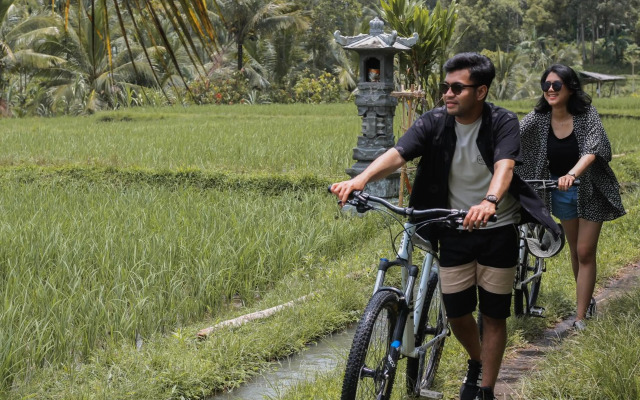 Amarta Pesagi Retreat by Madhava