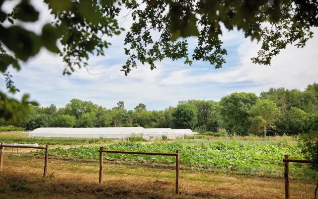 Ferme Saint-Georges en Provence